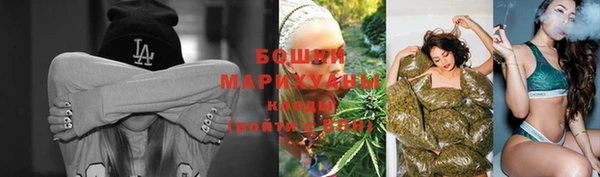 apvp Елабуга