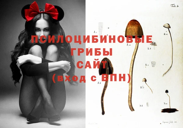 MESCALINE Ельня
